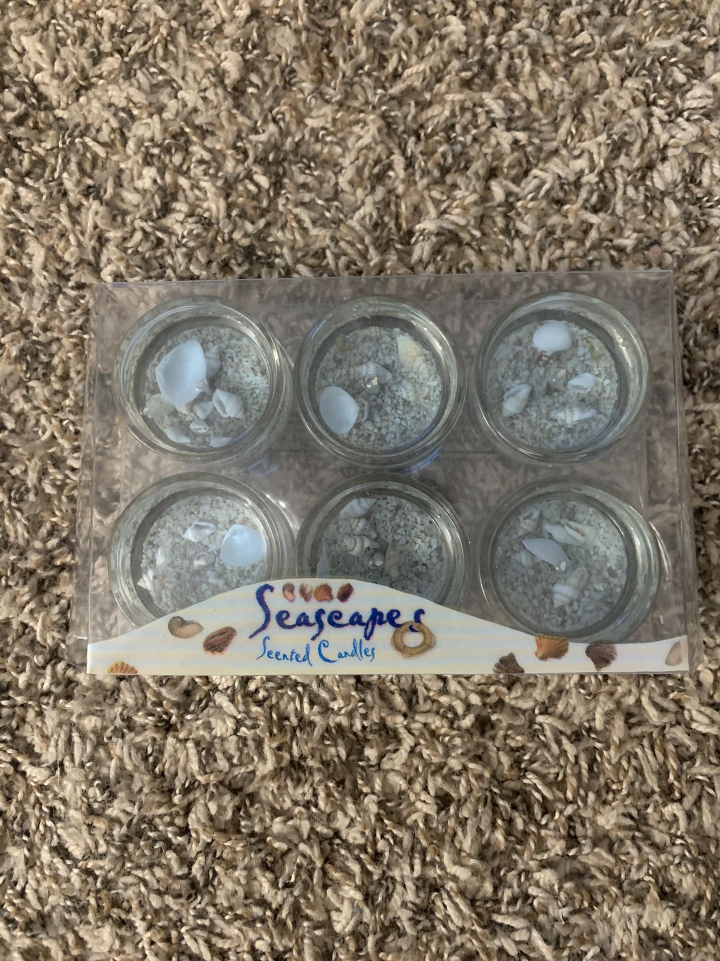 Seashell gel candles