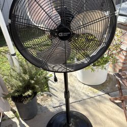 Upright Commercial Fan