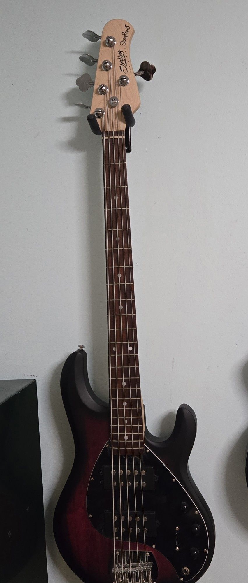 Stingray BASS