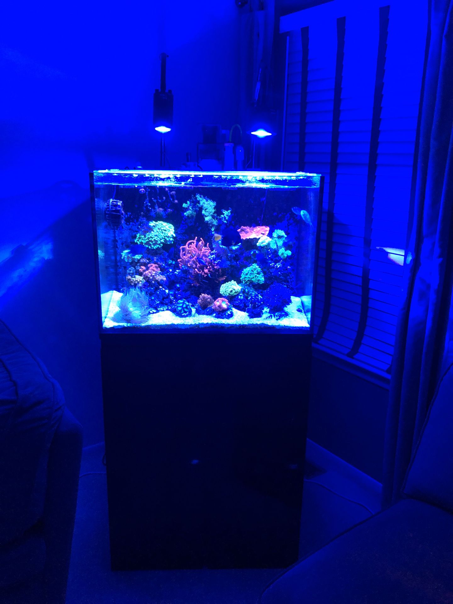 JBJ 45 gallon all in one aquarium