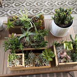 Arrangements
