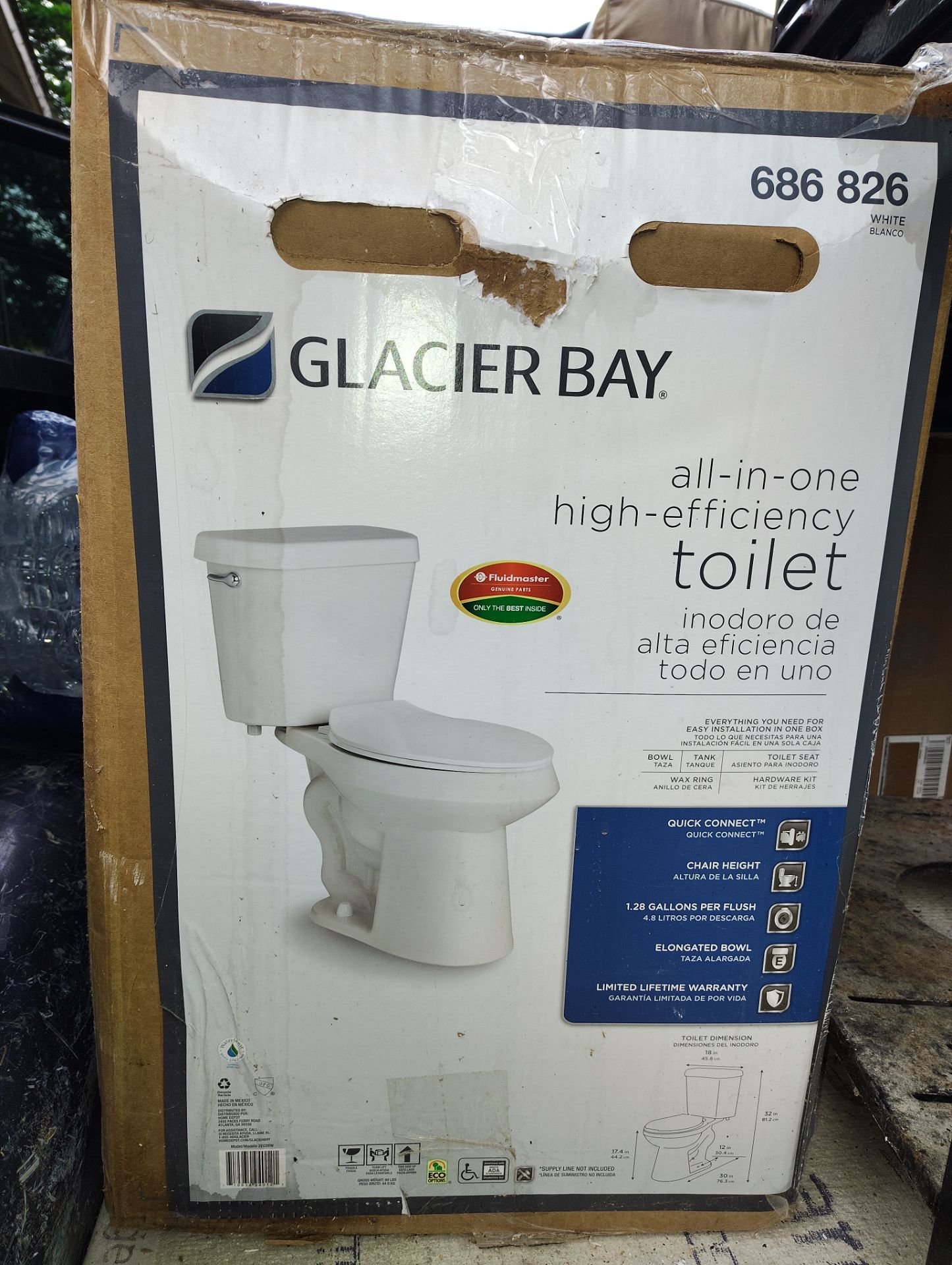Glacier bay toilet