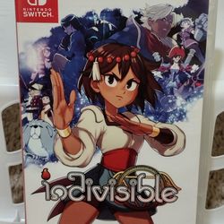Indivisible Nintendo Switch 