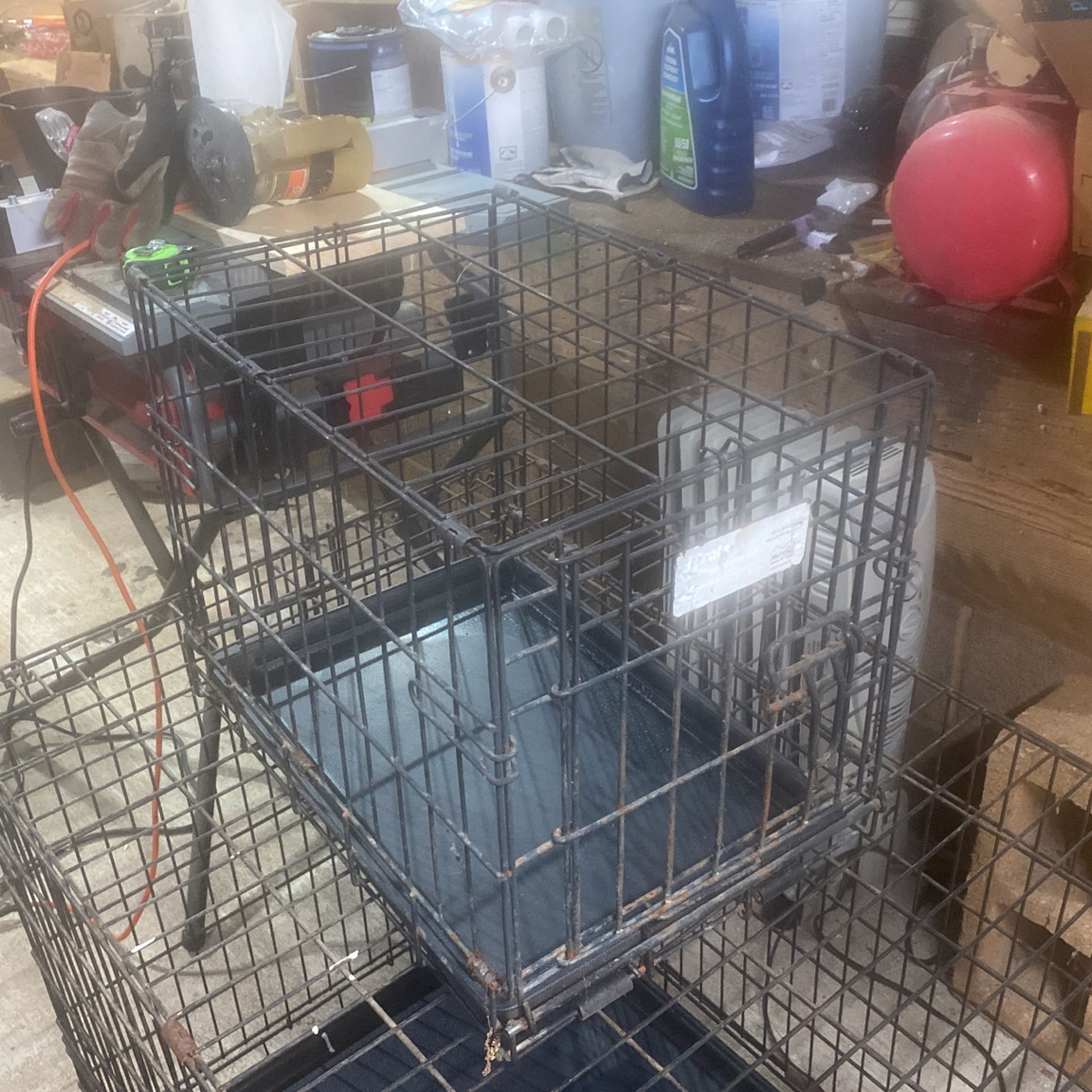 Small Dog Crate