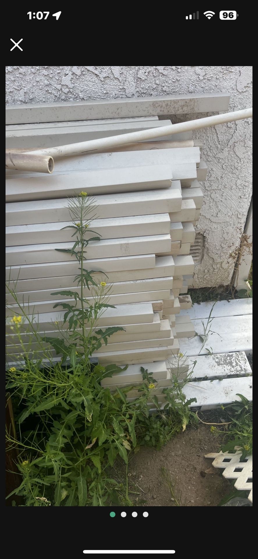 Vinyl Fence?