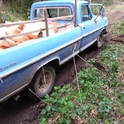 Today's deal 1972 custom F250