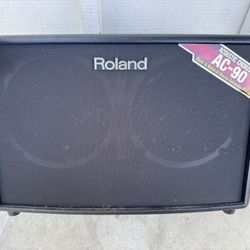 Roland Acoustic Chorus Guitar Speaker