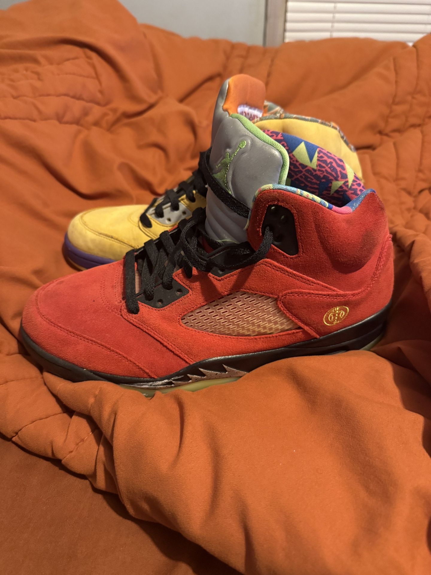 Air Jordan 5 Retro SE