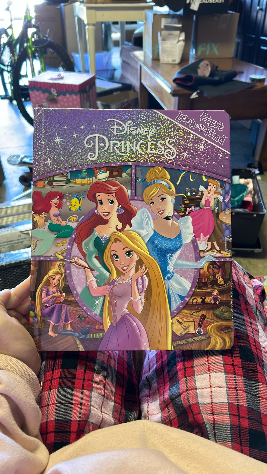 Disney Princess First Look And Find Book