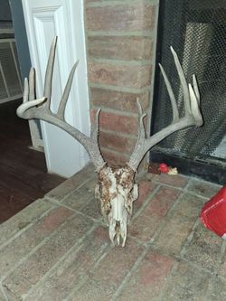 Antlers
