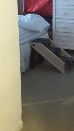 Dogs Ladder