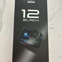 Go Pro 12 Black