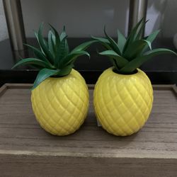 2 Artificial Pineapple Succulent Plants