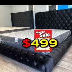 Queen Black Euro Plain With Ortho Matres!!