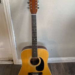 12 String Guitar 