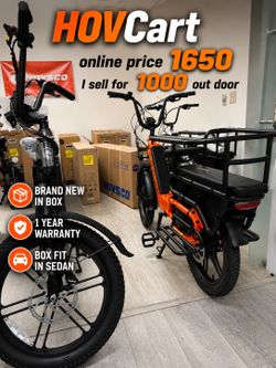 HOVCart HOVSCO Ebike - cargo electric bike for family in wholesale price