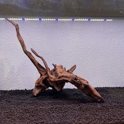 Natural Driftwood for Aquarium Decor Reptile Decor