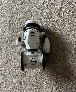MIP Robot