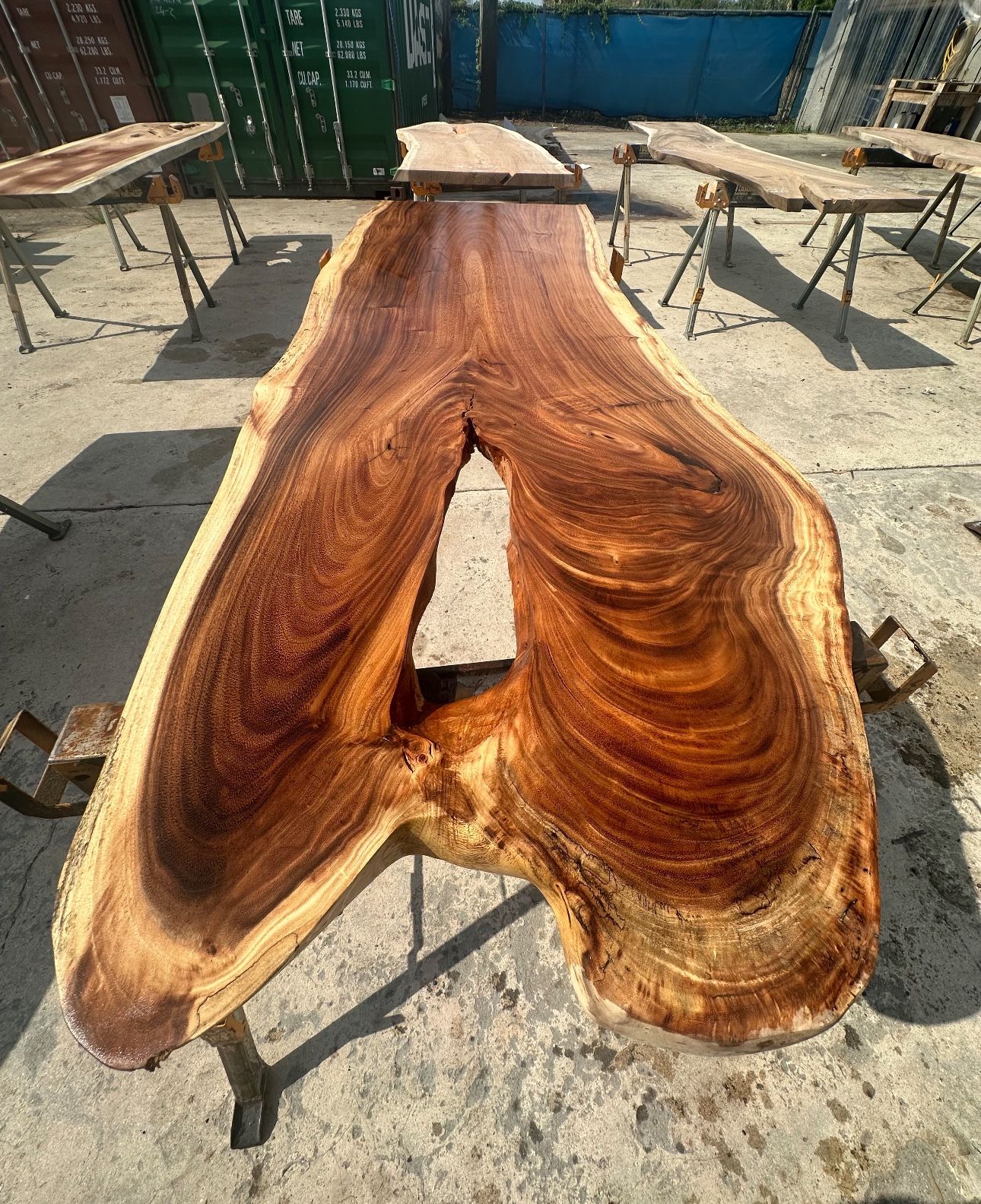 Beautiful Live Edge Slabs