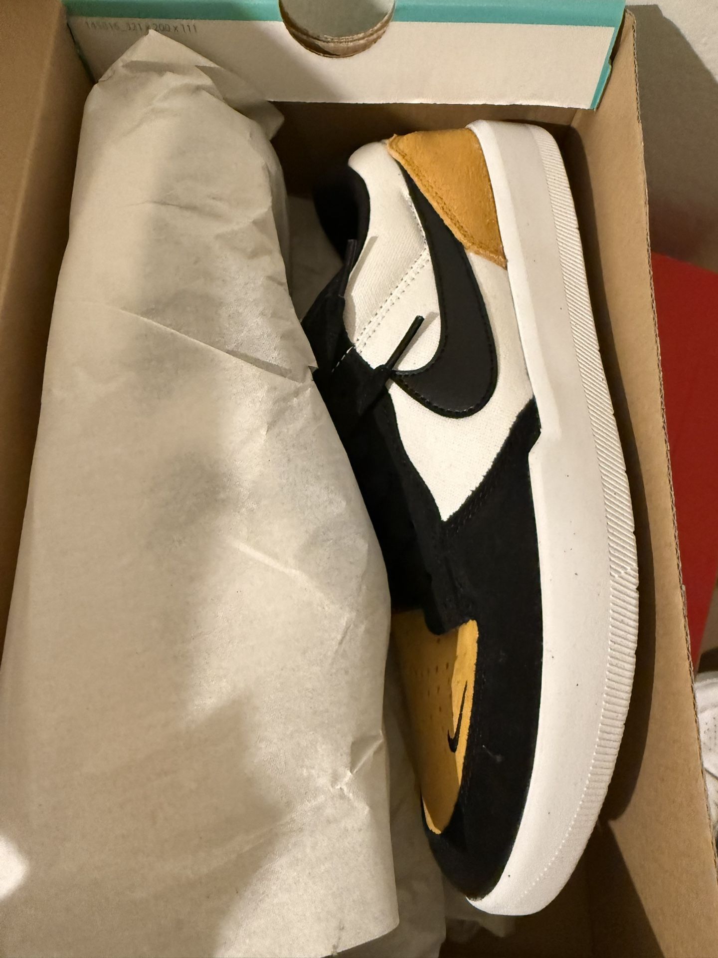 Nike SB
