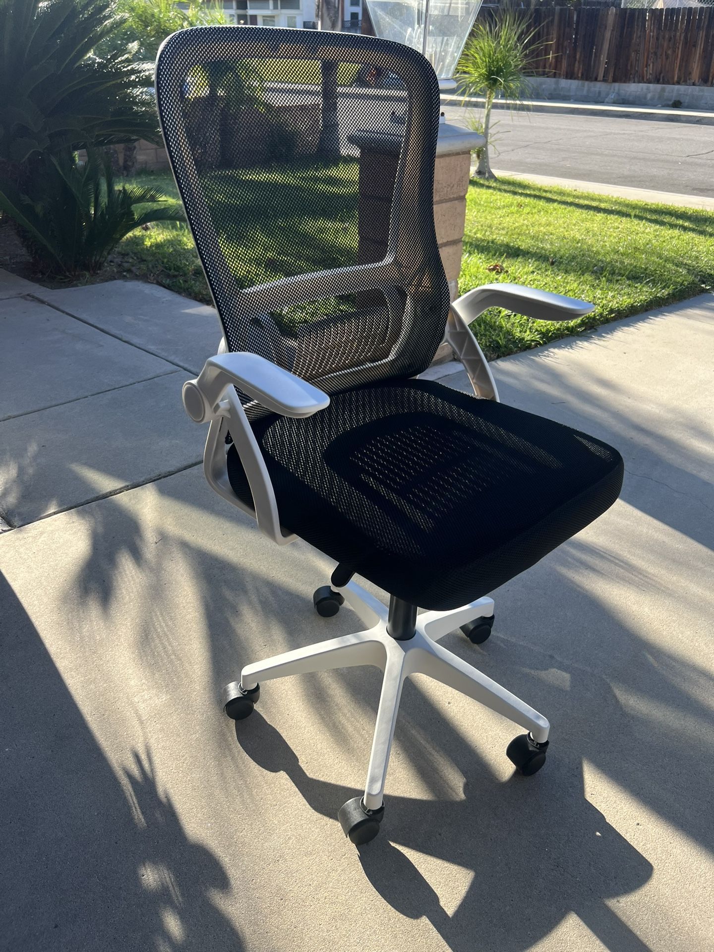 Swivel Mesh Desk Chair