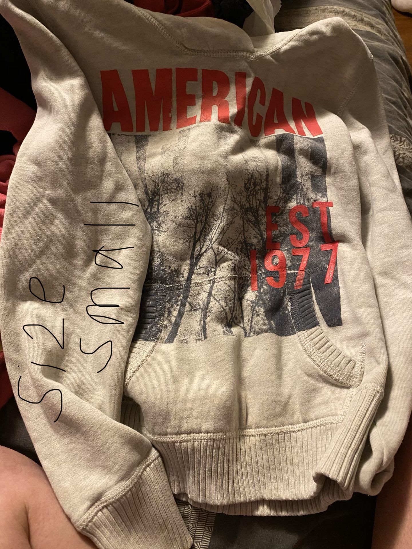 American eagle hoodie