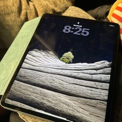 Apple iPad Pro 4th Generation 12.9” 1TB Grey