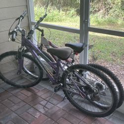 2 Bikes 
