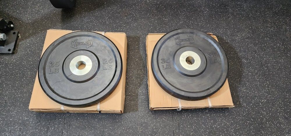 NEW Bumper Plates / Gym Equipment