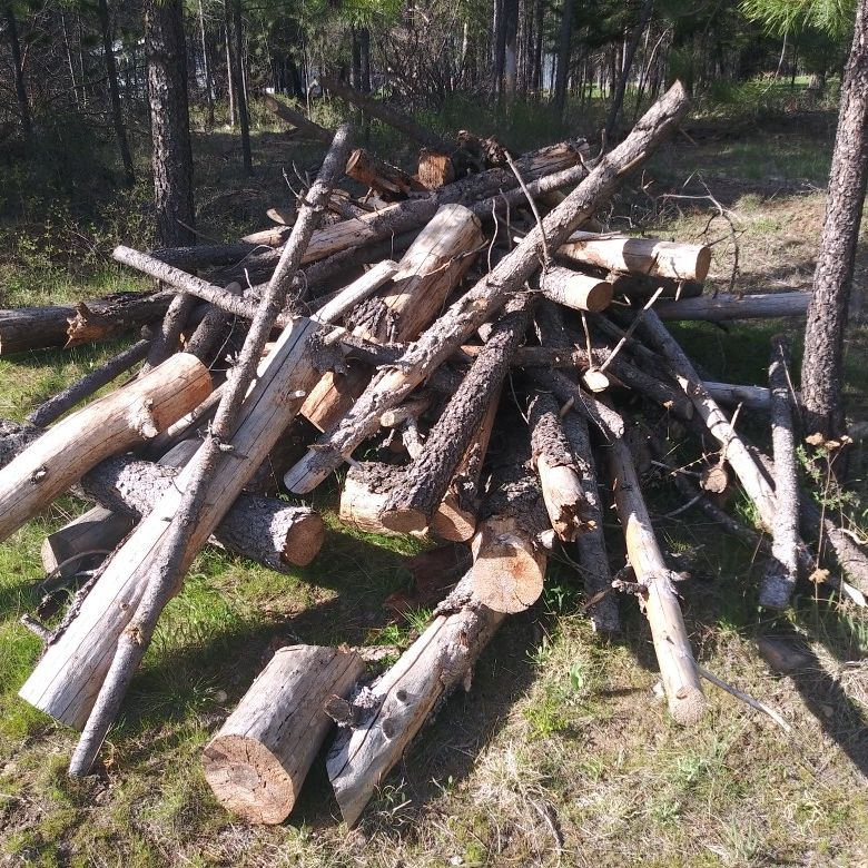 Fire Wood Make Offer 100 Piles 6 Ft Logs