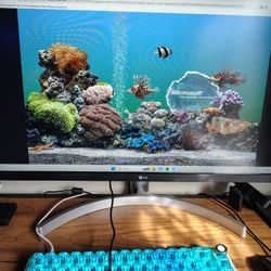 LG HD 27MN60T 27" IPS LED Monitor 