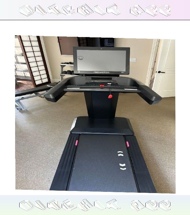 Sunny Health & Fitness Treadmill Train Your Body at Home animal power