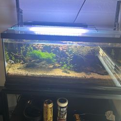 20 Gal Fish Tank 