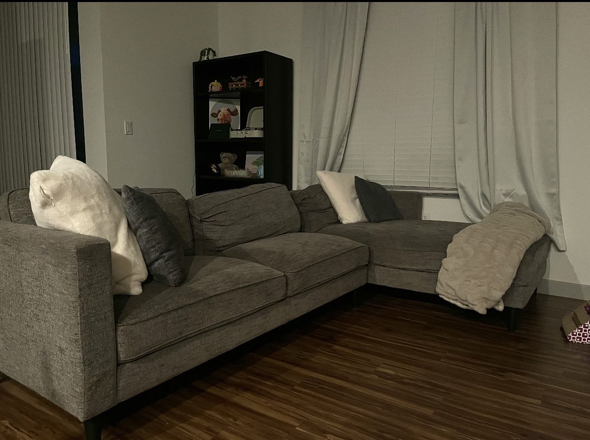 Living Spaces Couch