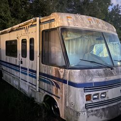 31 Foot Winnebago, Brave