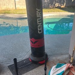 Century Punching Bag 