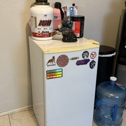 Mini Fridge 