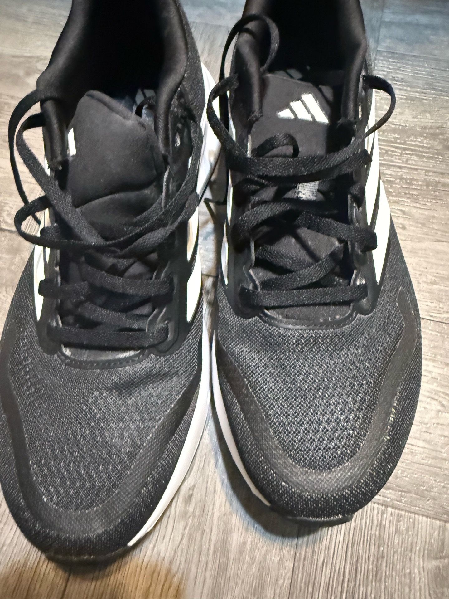 Audi’s runfalcon size 9