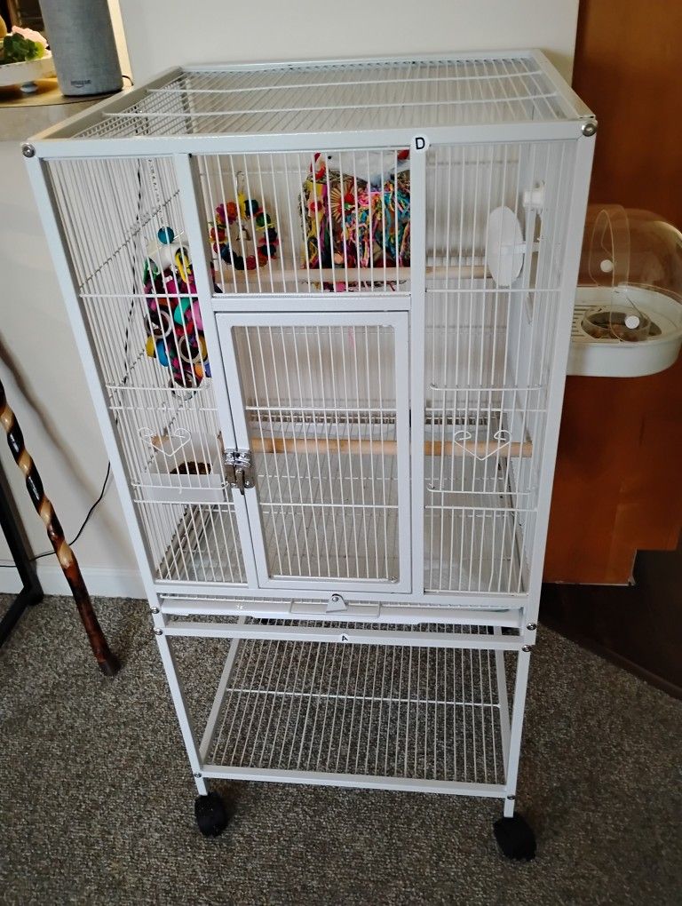 Bird/cage