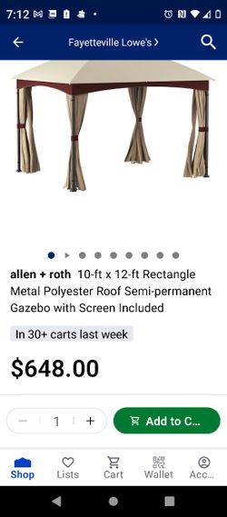 Allen And Roth 10*12 Canopy