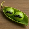 TwoPeasStash