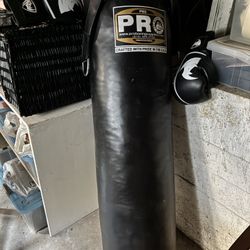 Boxing Bag And Gloves 