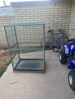 Bird Cage