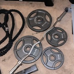 Olympic Plates/ Curl Bar