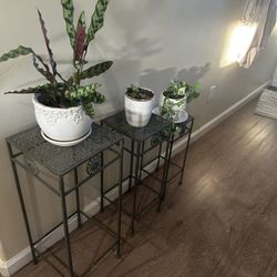 Three Piece Plant Base