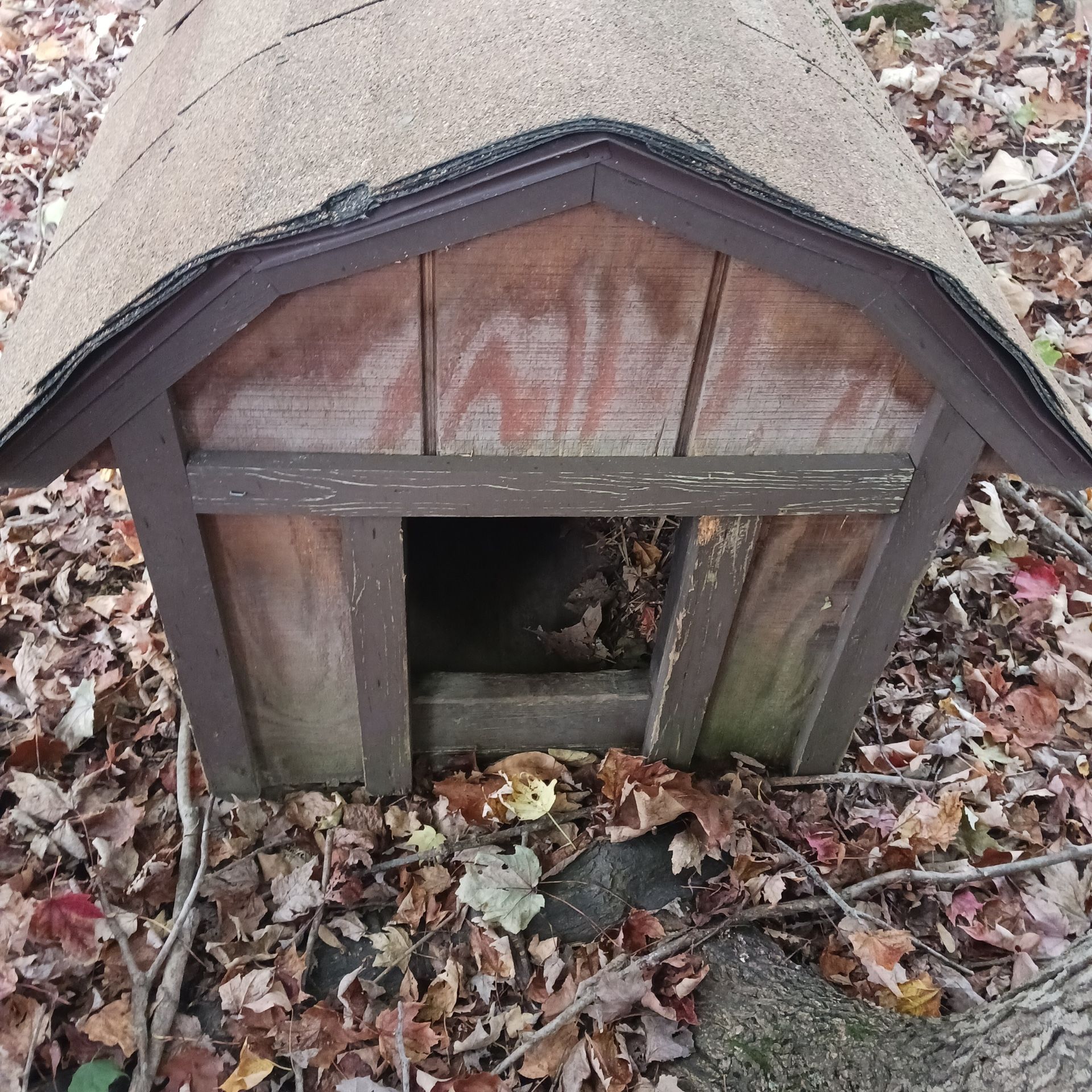 Dog House
