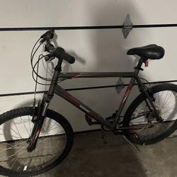 Men’s Mountain Bike