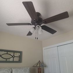 Celing Fan