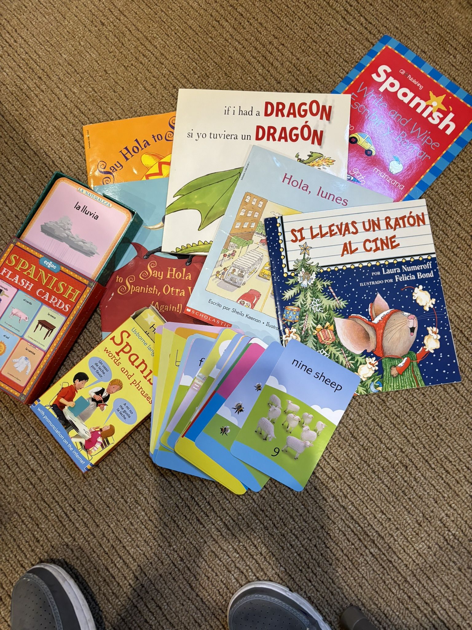New -6 Spanish Books - Plus 2 Boxes Of Large Flash Cards - Plus One Book Is A Write And Wipe Spanish Book