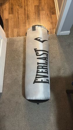 Everlast 70lb Punching Bag 